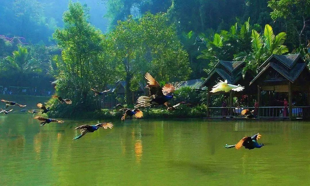 美妙圣诞节拼图