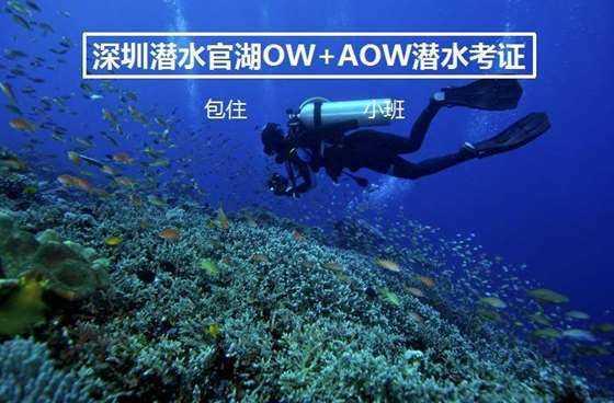 “靠奋斗创造更好的生活”（新春走基层）